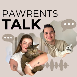 Folge 6 - Realtalk! Unsere Fehler & was wir immer wieder so machen würden.