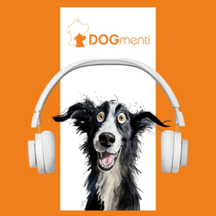 Giftköder -ein zunehmendes Problem für Hunde