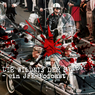 Die Wildnis der Spiegel - 13 - Robert G. Vinson