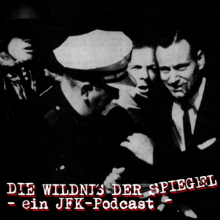 Die Wildnis der Spiegel - 16 - Roger Craig (Teil 2)