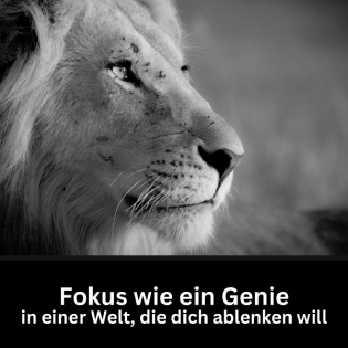 #64 - Fokus wie ein Genie in einer Welt, die dich ablenken will