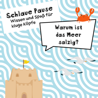 Warum ist das Meer salzig?