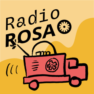 #13 WrapUp: Ein Jahr RADIO ROSA