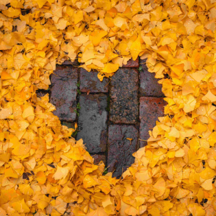 25-11: Zwischen den Welten