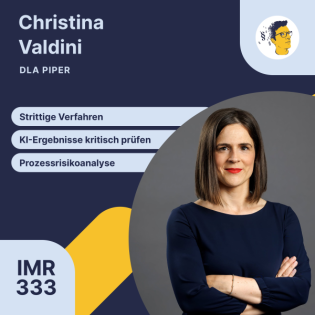 IMR333: Strittige Verfahren, KI-Vorschläge kritisch prüfen, Teamaufbau in der Wirtschaftskanzlei, Vergleichsverhandlungen, Prozessrisikoanalyse