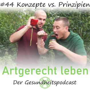 #44 Konzepte vs. Prinzipien