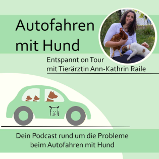#71 Urlaubsfahrten, wenn Dein Hund Probleme beim Autofahren hat