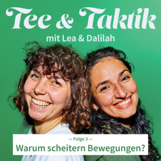 T&T03 Warum scheitern Bewegungen?