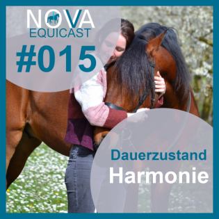 015 Dauerzustand Harmonie