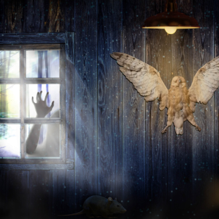 Das Gespenst in meiner Wohnung