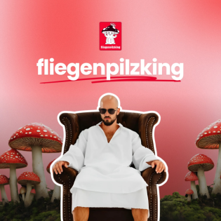 Psychedelika sind elitärer Leistungssport für die Seele?! | #16