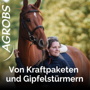 "Erst das Pferd, dann der Sport!" Annica Hansen erzählt uns ihre Sicht dazu.
