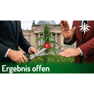 Ergebnis offen | DHV-News # 460