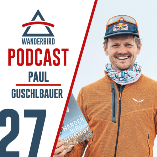 #27: The Wanderbird Strategy