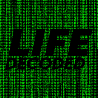 #13 - Ashley Mosaic - The future with AI is deeply human