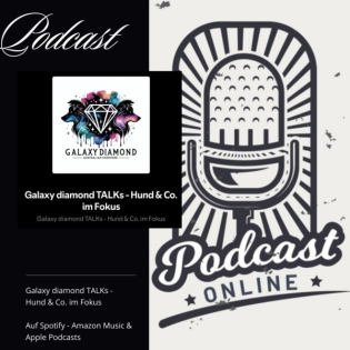 #10 Buddy & mein Weg (Trigger-Warnung!)