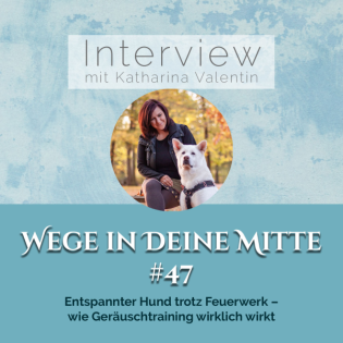 Entspannter Hund trotz Feuerwerk – wie Geräuschtraining wirklich wirkt (Episode 47)