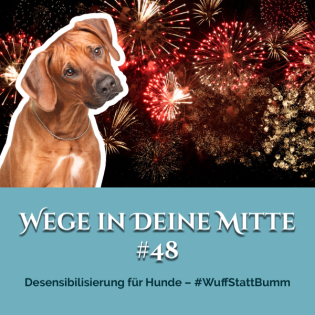 Desensibilisierung für Hunde – #WuffStattBumm (Episode 48)