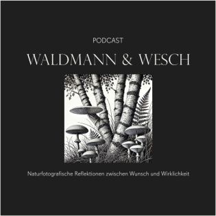 5. Ich kaufe mir gute Bilder oder wie wichtig ist Technik tatsächlich?