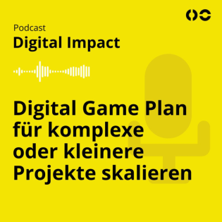 So können wir den Digital Game Plan für komplexe oder kleinere Projekte skalieren