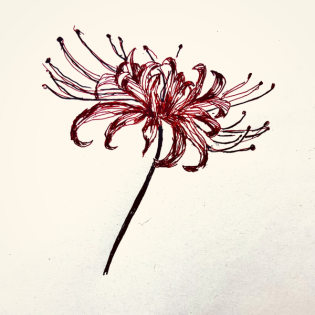 20:12 - Aesthetik und Romantik