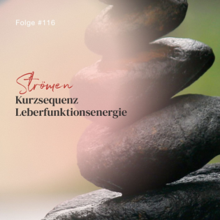 Kurzsequenz Leberfunktionsenergie | ca. 20 Min | Folge 116
