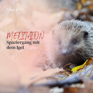 Spaziergang mit dem Igel - ca. 22 Min - Folge 133
