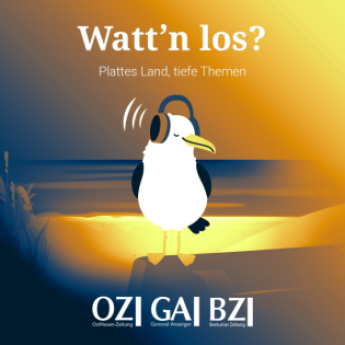 3.4 Resozialisierung – Probleme der Jugendlichen nach der Haft