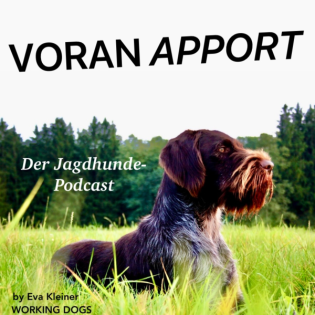 #40 Prüfungen - DJT Zuchtprüfung 1&2