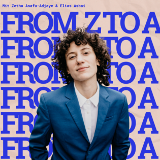 From Z to Z: Zero Pilnik