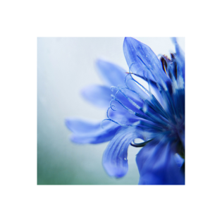 Benjamin Steffen - Sehnsucht nach Freiheit (Folge 4 von 7)