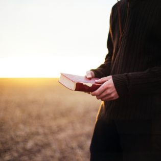 Lebens-Worte: Bibelstellen, die mein Leben geprägt haben - Römer 8,31-32