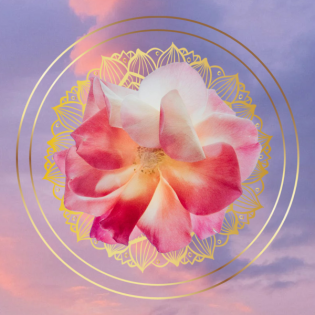 Sonnengruß Meditation | Meditation für den Morgen