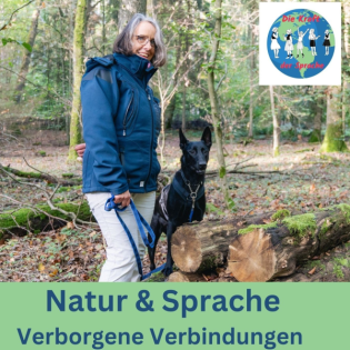 Die Sprache des Regens – wenn Tropfen Geschichten erzählen | 26