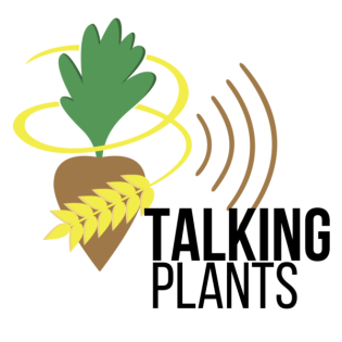 Das ist kein gewöhnlicher Acker – das ist eine High-Tech-Zone!