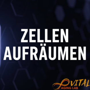 Autophagie auf Knopfdruck: Der 75-%-Code deiner Zellen