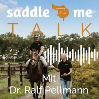 Sind Pferde heute wirklich kränker – oder schauen wir nur genauer hin?