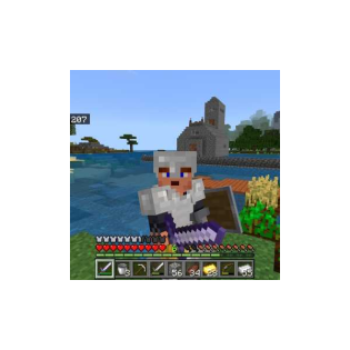 51. Folge Zombie-Piglin Farm (Nach Übertragung)