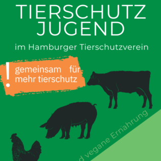 Tierschutz am Mikro! Folge 2: Qualzucht