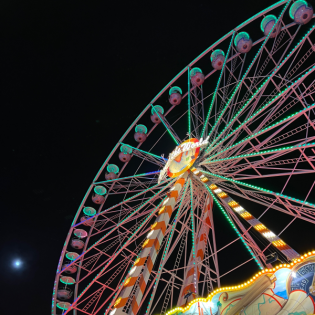 Teil eines großen Ganzen