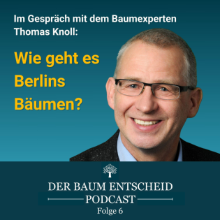 Wie geht es Berlins Bäumen?