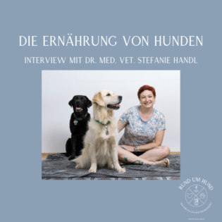 Die Ernährung von Hunden - Interview mit Dr. med. vet. Stefanie Handl