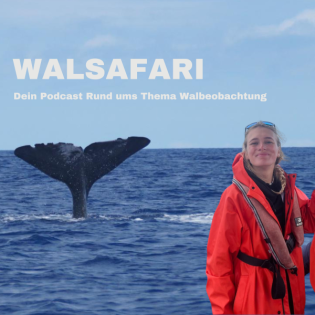 #08 Ein Tag als Whale Watching Guide