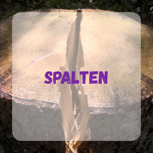 Spalten
