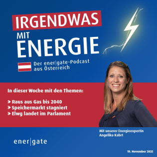 News Update vom 19.11.2025 der Weg "Raus aus Gas", Speichermarkt und Elwg im Parlament