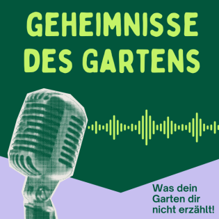 Miniteich anlegen So klappt’s im Garten oder auf dem Balkon