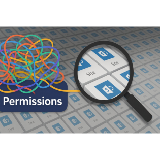 SharePoint Online Permission Auditing at Scale