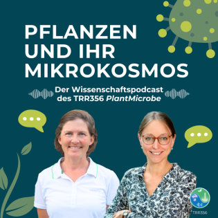 #2 Symbiose im Boden: Wie funktioniert eine Partnerschaft zwischen Pilz und Pflanze? - Mit Prof. Dr. Caroline Gutjahr