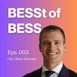 30 GW utility-scale BESS bis 2030? | Dr. Oliver Schmidt