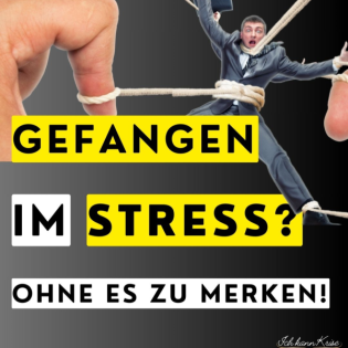 #48 · Dein Körper ist gefangen im Stress – ohne dass du es merkst! mit Godi Hitschler